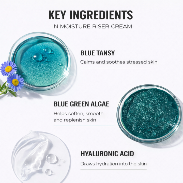 MOISTURE RISER CREAM // FACE + NECK + HANDS